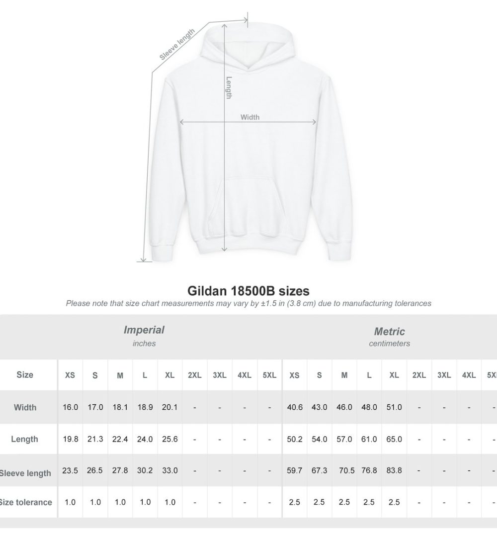 Alec Benjamin Album Youth Heavy Blend Hooded Sweatshirt — view 9