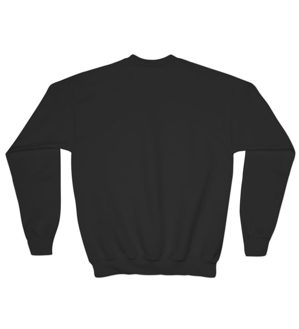 Alec Benjamin Album Youth Crewneck Sweatshirt — view 6